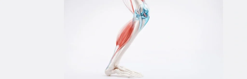 aching-pain-from-knee-to-ankle-one - Innovative Health Care Centers
